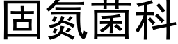 固氮菌科 (黑體矢量字庫)