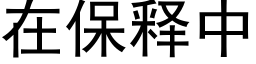 在保釋中 (黑體矢量字庫)