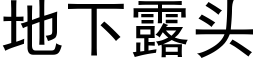 地下露头 (黑体矢量字库)