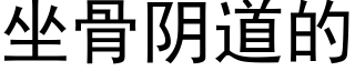 坐骨阴道的 (黑体矢量字库)