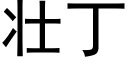 壮丁 (黑体矢量字库)