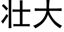 壮大 (黑体矢量字库)