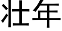 壮年 (黑体矢量字库)