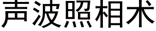 声波照相术 (黑体矢量字库)
