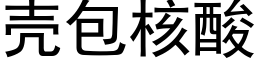 殼包核酸 (黑體矢量字庫)