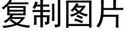 复制图片 (黑体矢量字库)