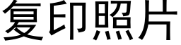 复印照片 (黑体矢量字库)