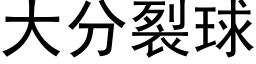 大分裂球 (黑体矢量字库)