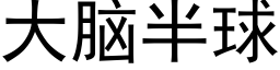 大腦半球 (黑體矢量字庫)