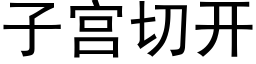 子宫切开 (黑体矢量字库)