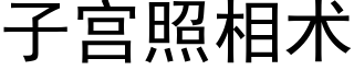 子宮照相術 (黑體矢量字庫)