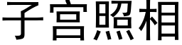 子宫照相 (黑体矢量字库)