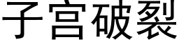 子宫破裂 (黑体矢量字库)