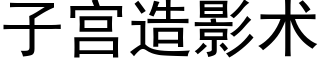 子宮造影術 (黑體矢量字庫)