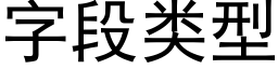 字段類型 (黑體矢量字庫)