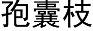 孢囊枝 (黑體矢量字庫)