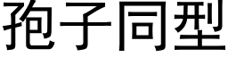 孢子同型 (黑体矢量字库)