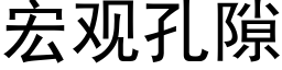 宏觀孔隙 (黑體矢量字庫)