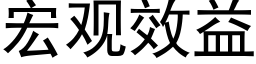 宏觀效益 (黑體矢量字庫)