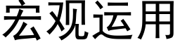 宏觀運用 (黑體矢量字庫)