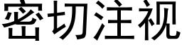 密切注視 (黑體矢量字庫)