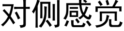 对侧感觉 (黑体矢量字库)