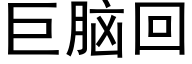 巨腦回 (黑體矢量字庫)