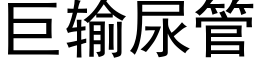 巨输尿管 (黑体矢量字库)