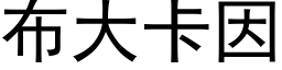 布大卡因 (黑體矢量字庫)