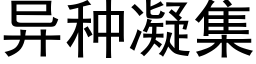 異種凝集 (黑體矢量字庫)