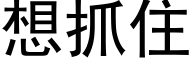 想抓住 (黑体矢量字库)