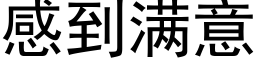 感到滿意 (黑體矢量字庫)