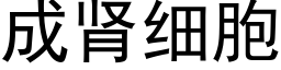 成腎細胞 (黑體矢量字庫)