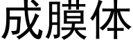 成膜體 (黑體矢量字庫)