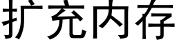 扩充内存 (黑体矢量字库)