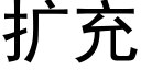 扩充 (黑体矢量字库)