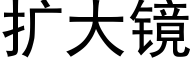 扩大镜 (黑体矢量字库)