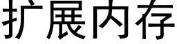 扩展内存 (黑体矢量字库)