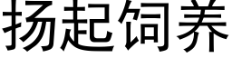 扬起饲养 (黑体矢量字库)