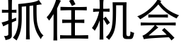 抓住機會 (黑體矢量字庫)