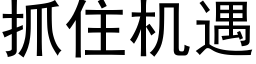 抓住機遇 (黑體矢量字庫)