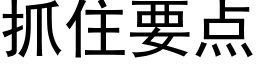 抓住要點 (黑體矢量字庫)