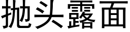 抛头露面 (黑体矢量字库)