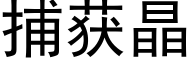 捕獲晶 (黑體矢量字庫)