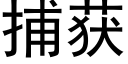 捕获 (黑体矢量字库)