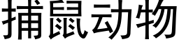 捕鼠動物 (黑體矢量字庫)