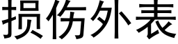 损伤外表 (黑体矢量字库)