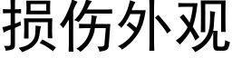 损伤外观 (黑体矢量字库)