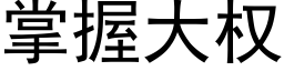 掌握大权 (黑体矢量字库)