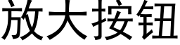 放大按鈕 (黑體矢量字庫)